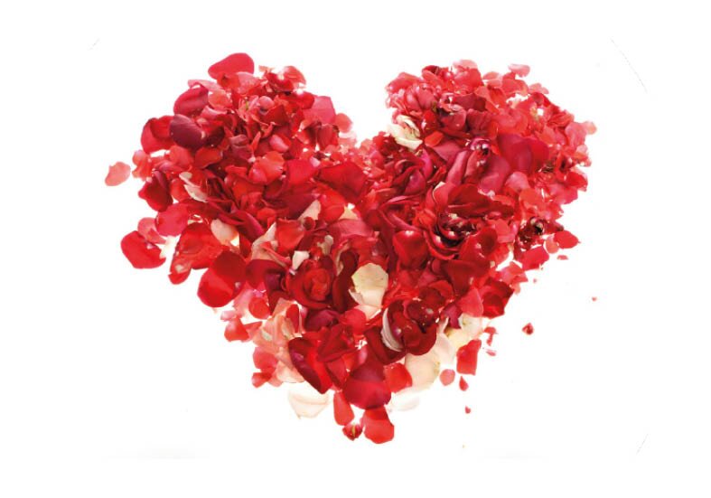 Valentines Day Dinner